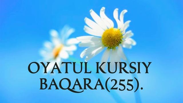 Oyatul Kursiy 1 Аятуль Курси красивое чтение#oyatlar #quran #qurantilawat #suralar #fatiha смотреть онлайн