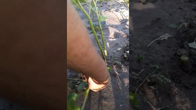 Гараж и Мастерская