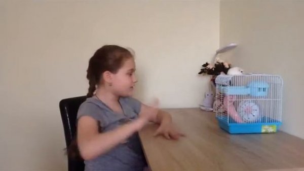 Всё о хомяках 🐹 советы по уходу за хомяком