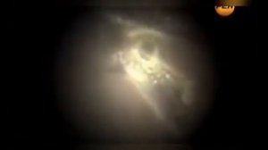 Как работают гены. Петр Горяеев