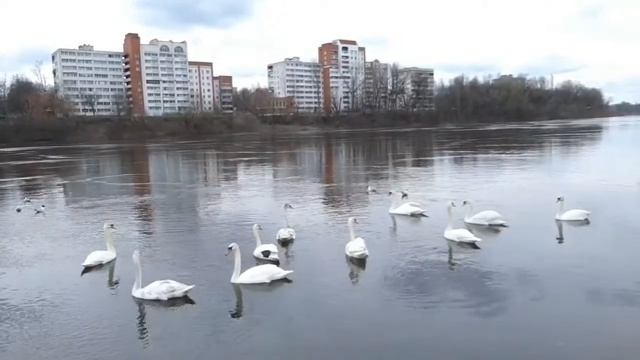 Витебск полноводная Двина смотреть онлайн