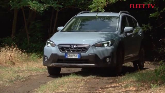 FLEET.TV aflevering - januari 2022 - Seizoen 19 – NL смотреть онлайн