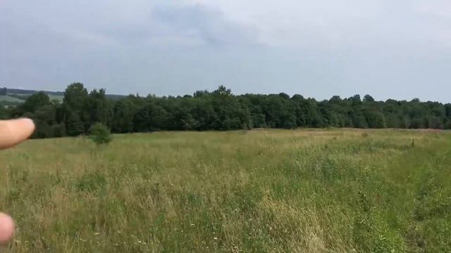 Земельный участок Вологда (д. Шоломово) смотреть онлайн