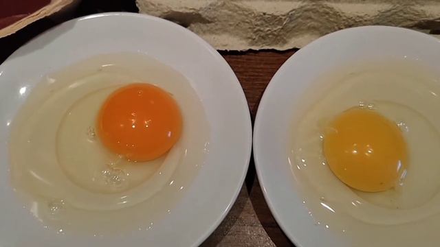 Украина с "железными" яйцами, как оказалось!!!#днепр смотреть онлайн