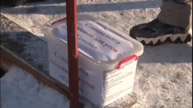 СПДС Алешушка смотреть онлайн