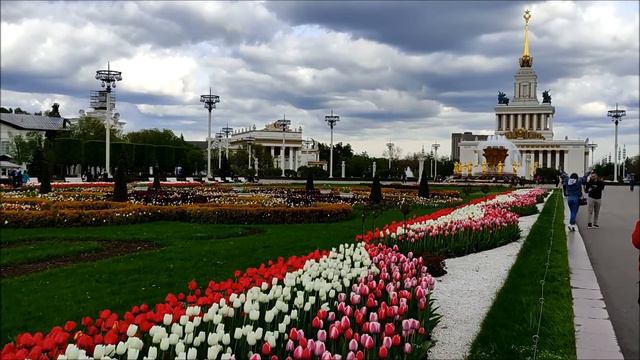 Москва. Тюльпаны на ВДНХ (18.05.2022) смотреть онлайн