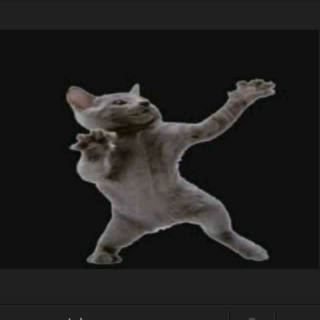 поем песенки