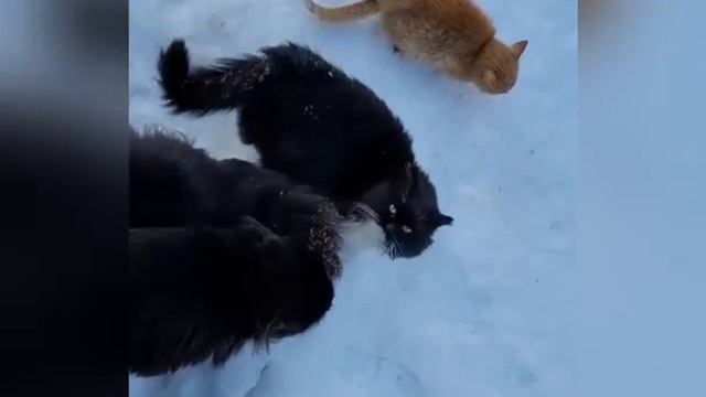 3 января 2024 г. смотреть онлайн