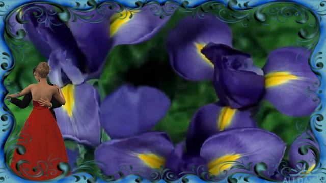 ПОТАНЦУЙ СО МНОЙ ЛЮБИМАЯ смотреть онлайн