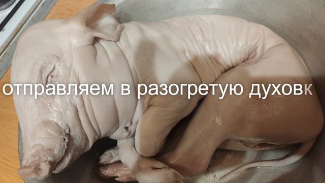 Поросёнок фаршированный смотреть онлайн