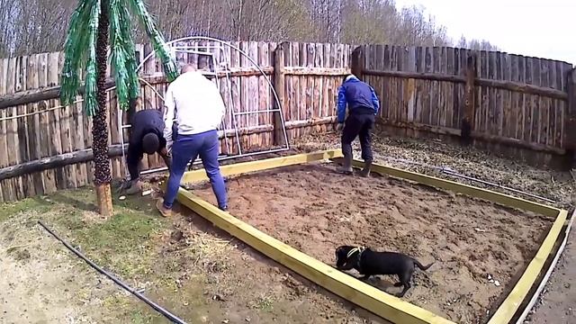 Собираем вторую теплицу#весна #огород #сезон #теплица #сборка