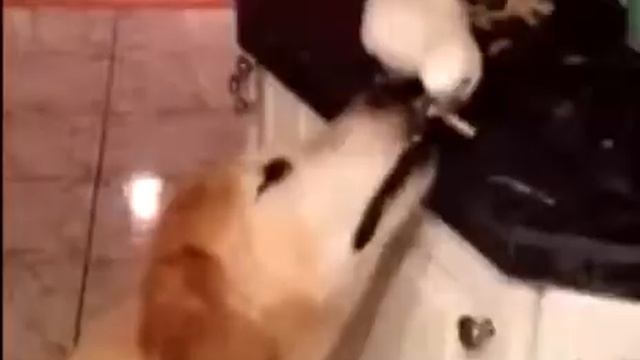 Есть друзья, а для них, у друзей нет выходных смотреть онлайн