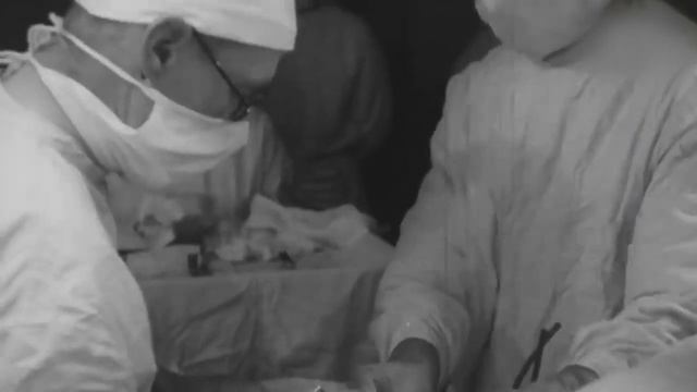 Люди и судьбы Шапошникова.