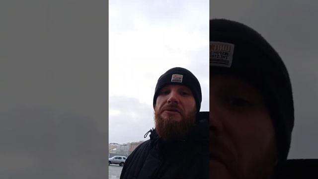 итоги прогулки 31.01.2021 Санкт-Петербург смотреть онлайн