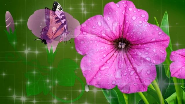 Фон для видеомонтажа HD Video Background смотреть онлайн