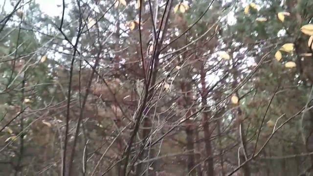 "Осенний блюз" смотреть онлайн