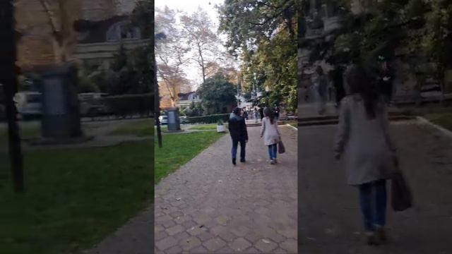 купить квартиры в центре Сочи от 700 тысяч р! 8(919)444-66-55 Жк на Парковой. Новостройка в Сочи смотреть онлайн