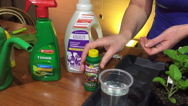 Дневник дачника от 31 Марта 2017 смотреть онлайн