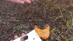 ПИОНЕР и АНТИДОГ. ГРОМ и ШУМОВОЙ (пиротехнические заряды). ТЕСТ.