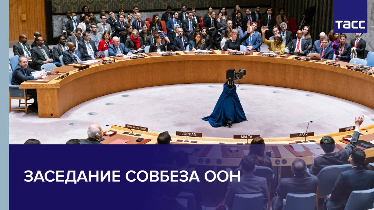 Заседание Совбеза ООН