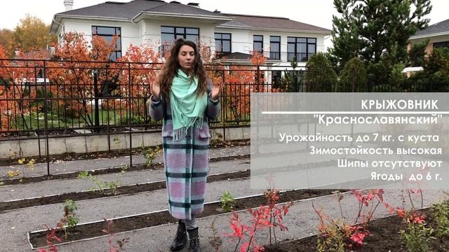 #плодовыйсад Закладка плодового сада и огорода | Плодовые деревья смотреть онлайн