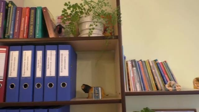 Кабинет педагога психолога