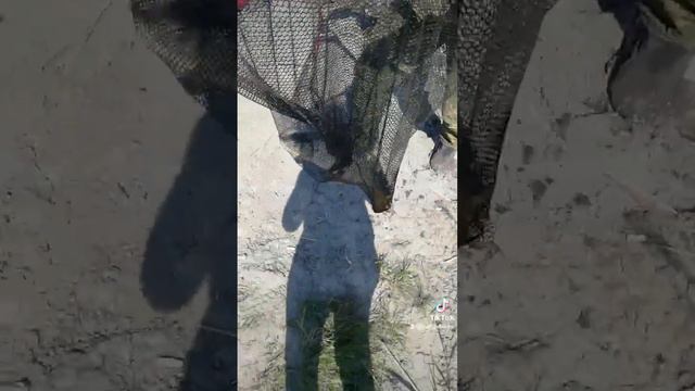 рыбалка на дамбе смотреть онлайн