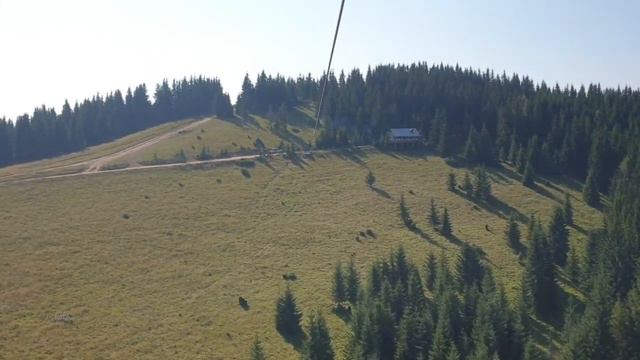 Полет навигатора над гнездом кукушки... смотреть онлайн