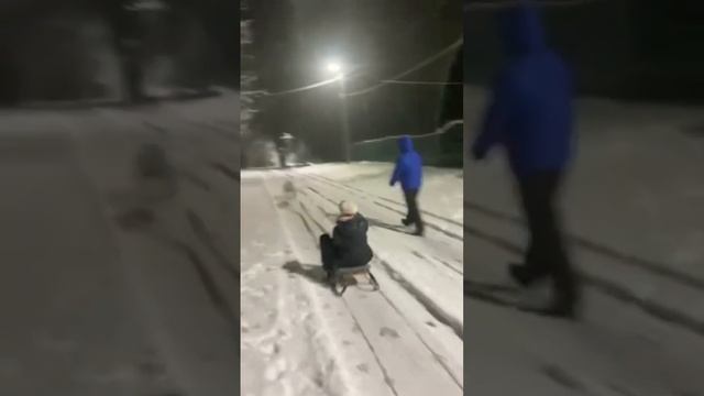 Американский бульдог. Катание на санках :)￼ смотреть онлайн