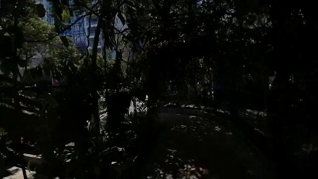 Вьетнам, Нячанг,BELLA BEGONIA HOTEL, дорога с пляжа через Парк Горького! смотреть онлайн