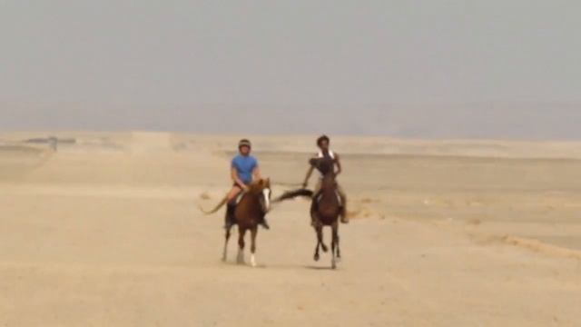 Утренний релакс с HorseRiding Hurghada (Charlotte Freeman) смотреть онлайн
