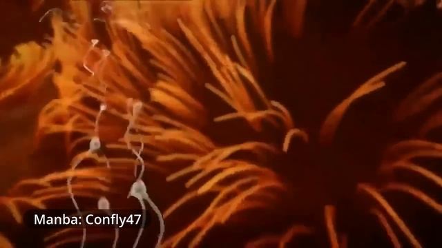 ALOQADAN KEYIN URUG' TASHQARIGA CHIQIB KETSA HOMILA BO'LADIMI? смотреть онлайн