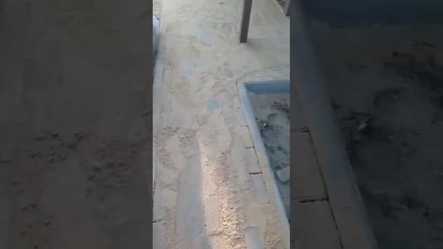 Садовые дорожки своими руками из брусчатки # #навсеруки #дача #брусчатка #сад смотреть онлайн