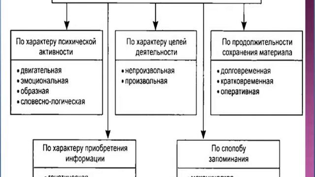 Основы фитнеса для всех