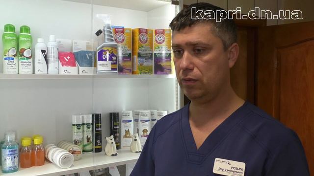 Переохолодження у тварин: симптоми та лікування смотреть онлайн