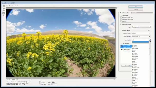 Adobe photoshop cs6 tutorials for beginners - Using the Lens Correction Filter (Part-7) смотреть онлайн