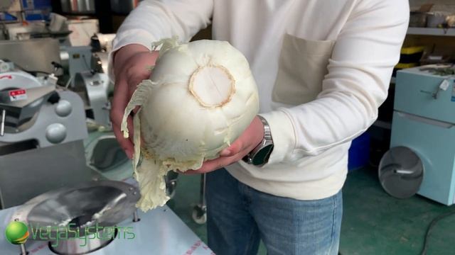 Машина для быстрой очистки белокочанной и пекинской капусты от кочерыжки Vega H CHR 3000 смотреть онлайн
