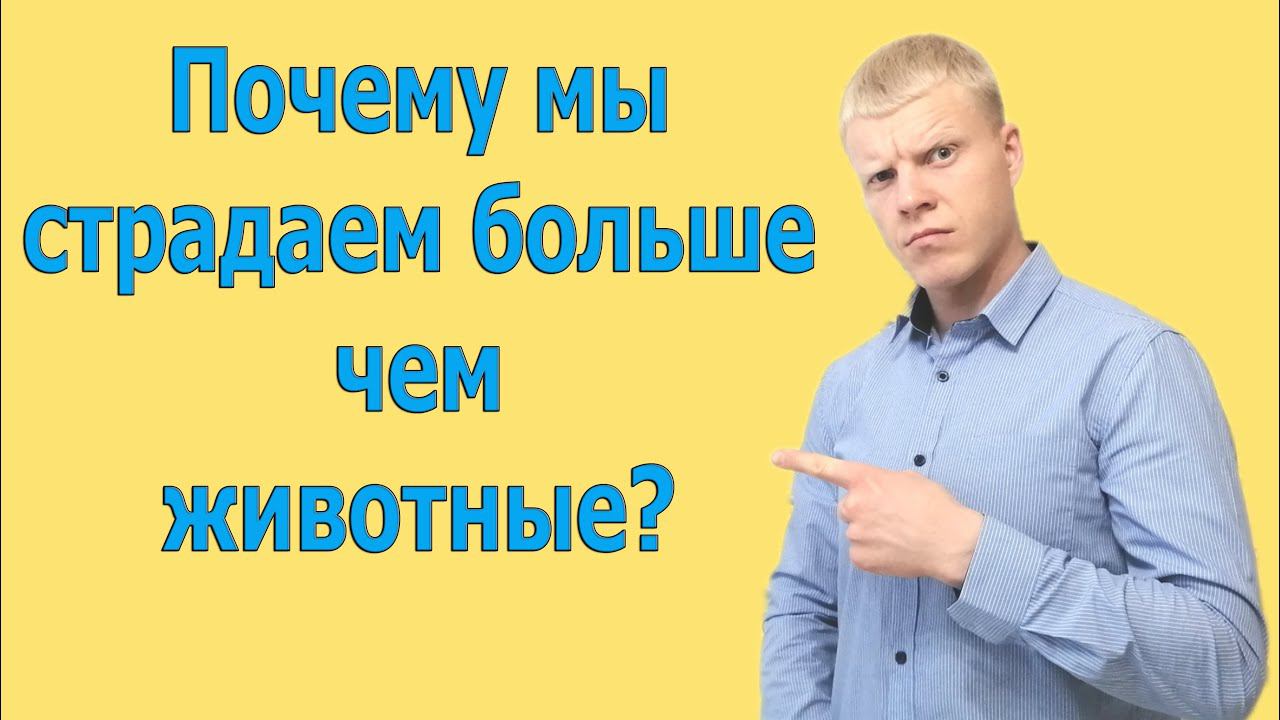 ПОЧЕМУ животные так не страдают как люди? Причина все страданий!!! смотреть онлайн