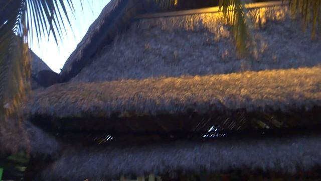 Аэропорт Punta Cana терминал вылета смотреть онлайн