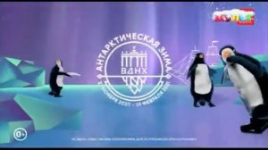 Заставка и рекламный блок (Мульт; 03.02.2021)