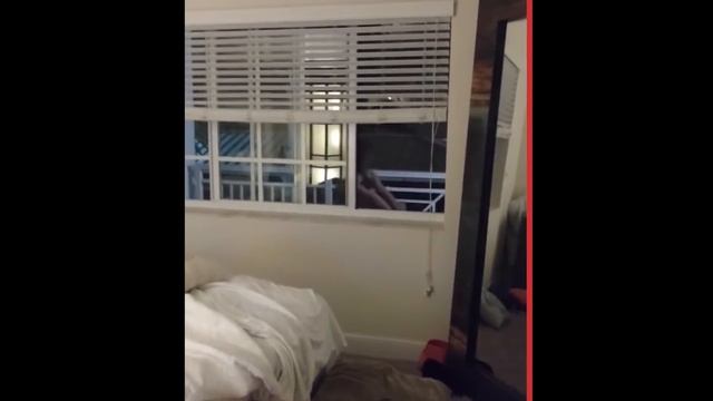 Zombie-like Woman Terrorizes Florida Apartment, Possibly High On Flakka Drug | New York Post