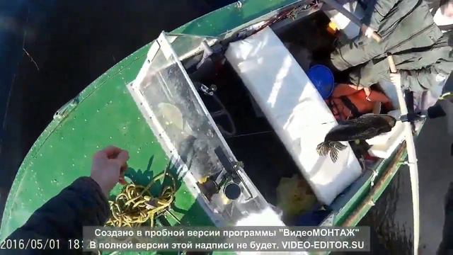 Вуокса. Щуки на жерлицы в мае 2016 смотреть онлайн