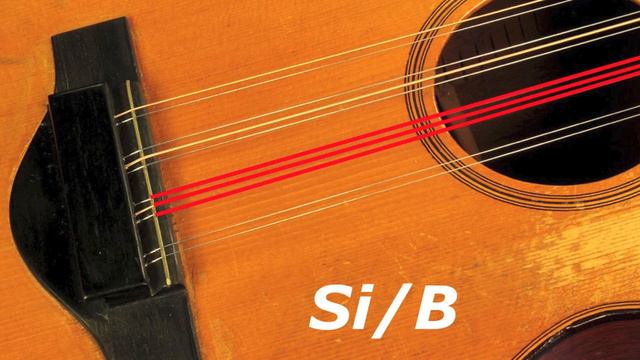 Tiple Colombiano Tuner смотреть онлайн