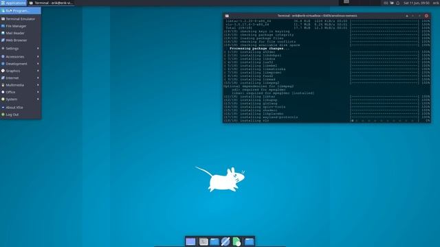 ArcoLinux : 2901 CARLI - Final build - ricing because IT is all Arch Linux