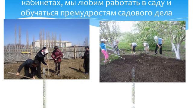 Сулейманова Р , с Кусеево смотреть онлайн