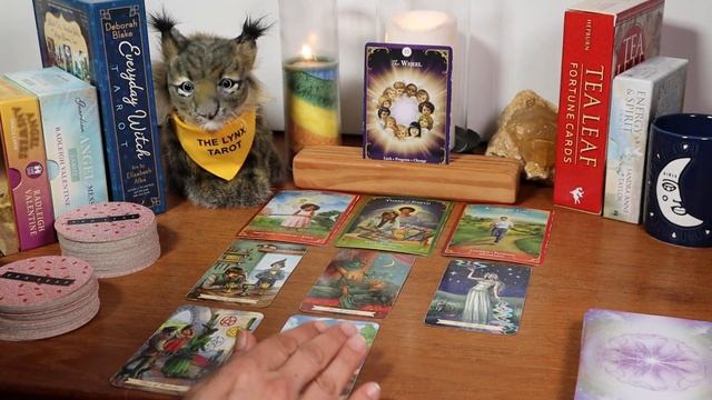 ♊GEMINI??"TIME TO CLOSE THE DEAL & MOVE ON!"??TAROT & ORACLE MESSAGES?NEXT 30 DAYS @TheLynxTarot смотреть онлайн