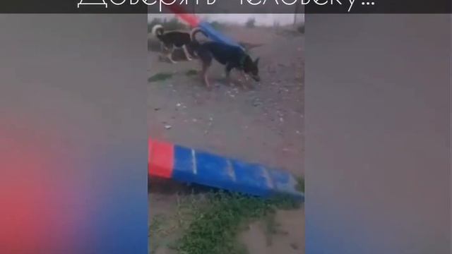 История Лины и Лики смотреть онлайн