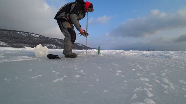 КРАБ НАПАЛ на ВИДЕОКАМЕРУ. Кадры ПОДВОДНОЙ СЪЕМКИ. Как поймать краба? Crab attacked the camcorder. смотреть онлайн