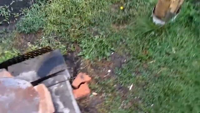 Готовим на даче корейку в томатной пасте смотреть онлайн