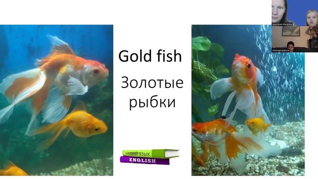 Английский язык урок 1